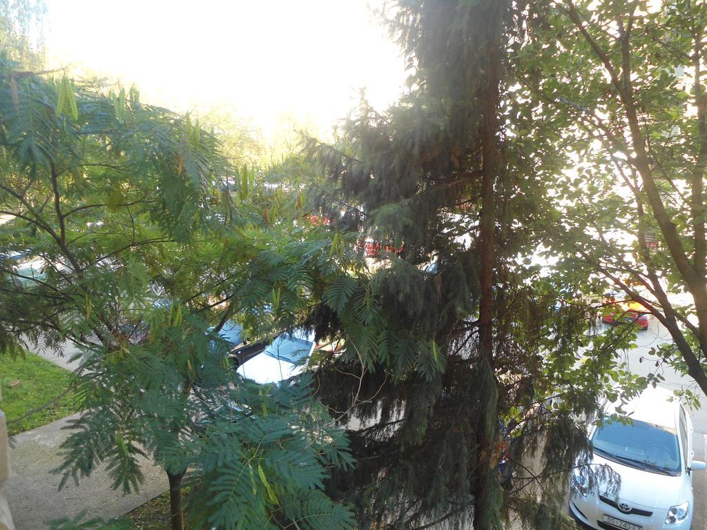 Apartman Ösek Dış mekan fotoğraf